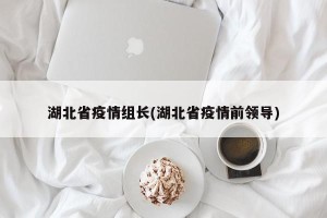 湖北省疫情组长(湖北省疫情前领导)